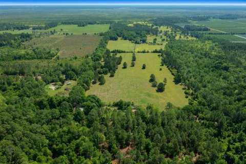 Land in Waldo, Florida № 1631733 - photo 1