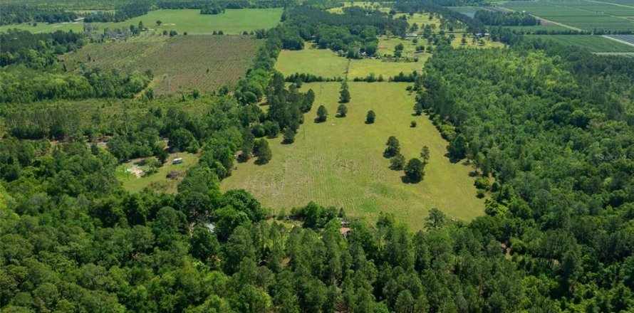 Land in Waldo, Florida № 1631733