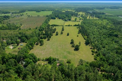 Land in Waldo, Florida № 1631733 - photo 28