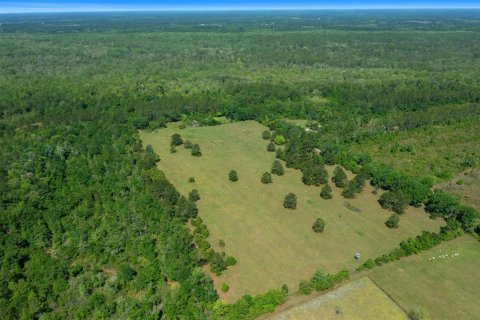 Land in Waldo, Florida № 1631733 - photo 29