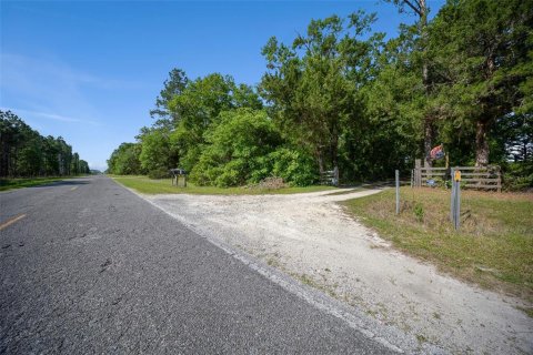 Land in Waldo, Florida № 1631733 - photo 13
