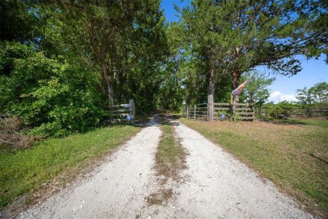 Land in Waldo, Florida № 1631733 - photo 15