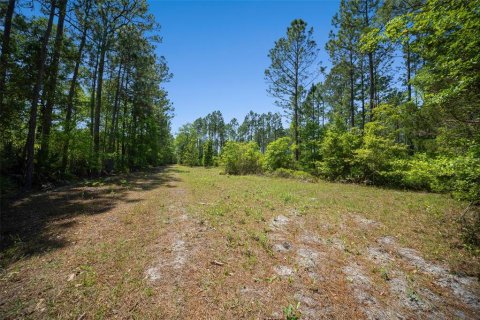 Land in Waldo, Florida № 1631733 - photo 24