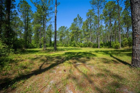 Land in Waldo, Florida № 1631733 - photo 23