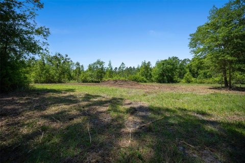Land in Waldo, Florida № 1631733 - photo 18