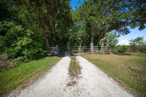 Land in Waldo, Florida № 1631733 - photo 9
