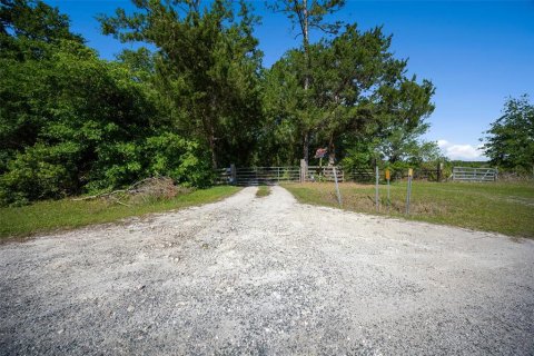 Land in Waldo, Florida № 1631733 - photo 12