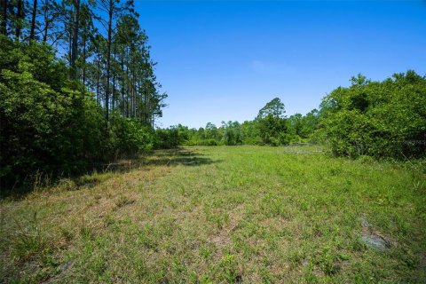 Land in Waldo, Florida № 1631733 - photo 21