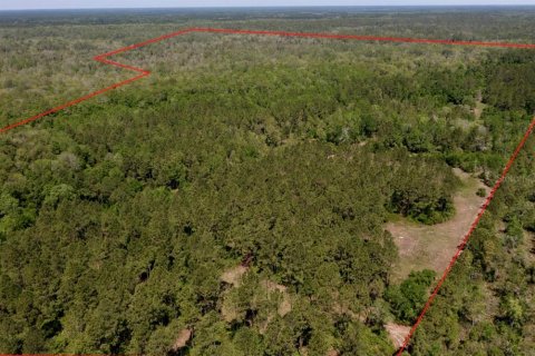 Land in Waldo, Florida № 1631733 - photo 6