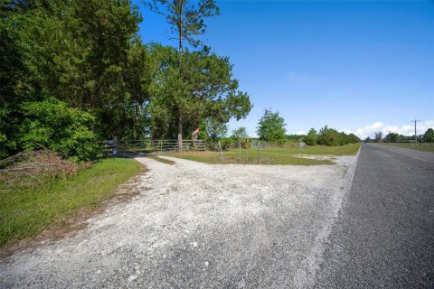 Land in Waldo, Florida № 1631733 - photo 10
