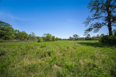 Land in Waldo, Florida № 1631733 - photo 16