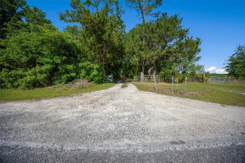 Land in Waldo, Florida № 1631733 - photo 14