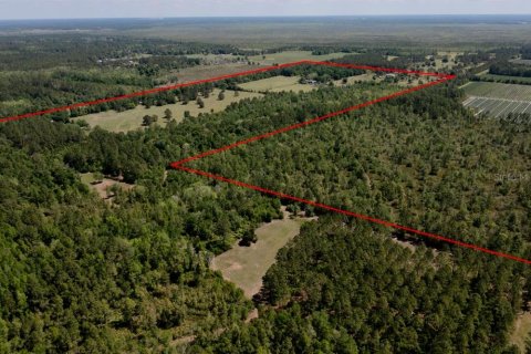 Land in Waldo, Florida № 1631733 - photo 4