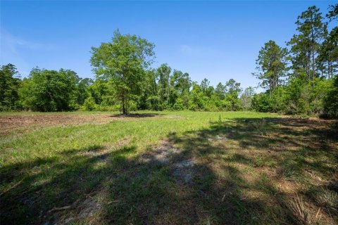 Land in Waldo, Florida № 1631733 - photo 19