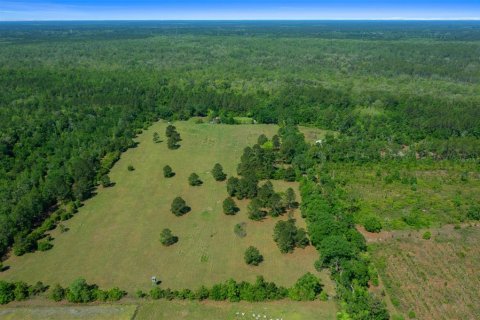 Land in Waldo, Florida № 1631733 - photo 27
