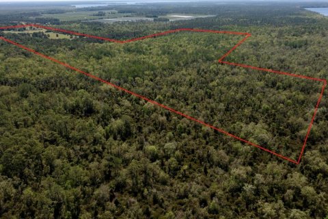 Land in Waldo, Florida № 1631733 - photo 5
