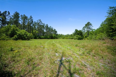 Land in Waldo, Florida № 1631733 - photo 20