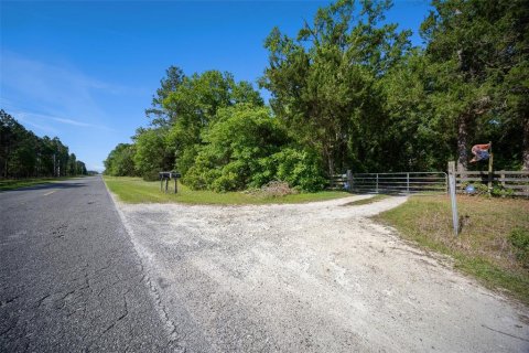 Land in Waldo, Florida № 1631733 - photo 8