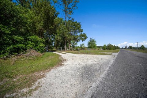 Land in Waldo, Florida № 1631733 - photo 11