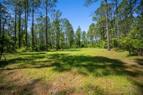 Land in Waldo, Florida № 1631733 - photo 22