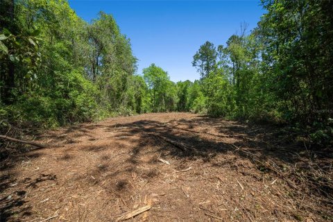 Land in Waldo, Florida № 1631733 - photo 25