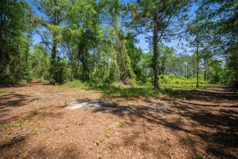 Land in Waldo, Florida № 1631733 - photo 26