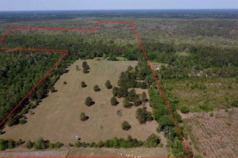Land in Waldo, Florida № 1631733 - photo 3