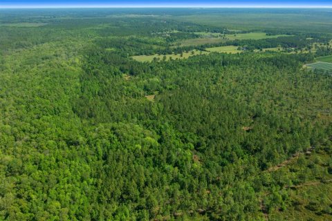 Land in Waldo, Florida № 1631733 - photo 30