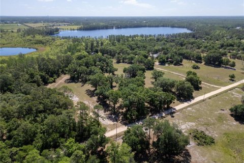 Land in Groveland, Florida № 2211572 - photo 5