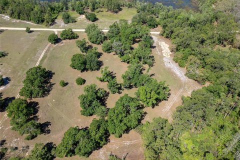 Land in Groveland, Florida № 2211572 - photo 4