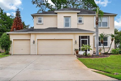 Villa ou maison à Palm Coast, Floride 5 chambres, 267.56 m2 № 2280260