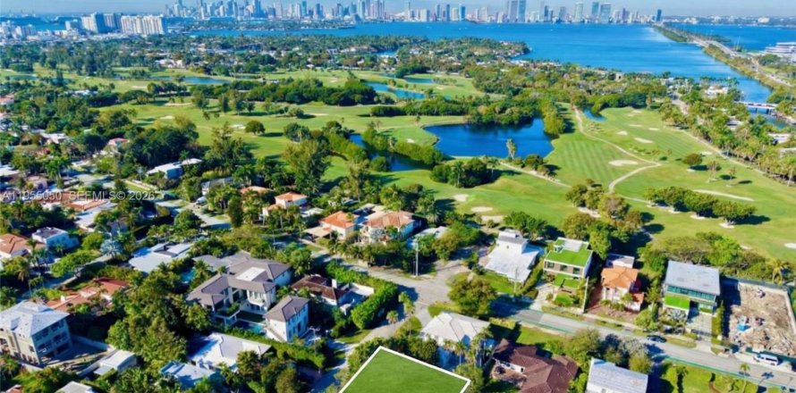 Studio in Miami Beach, Florida № 2010249