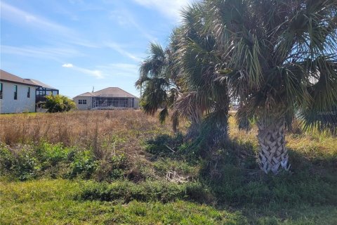 Terreno en venta en Port Charlotte, Florida № 1544680 - foto 2