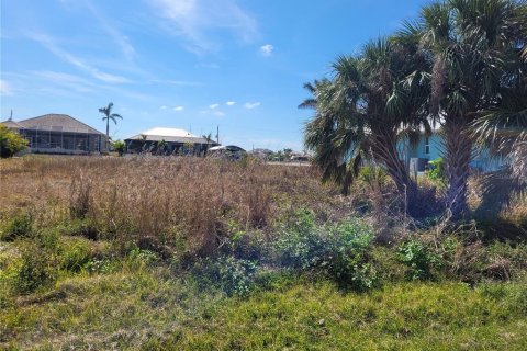 Terreno en venta en Port Charlotte, Florida № 1544680 - foto 1