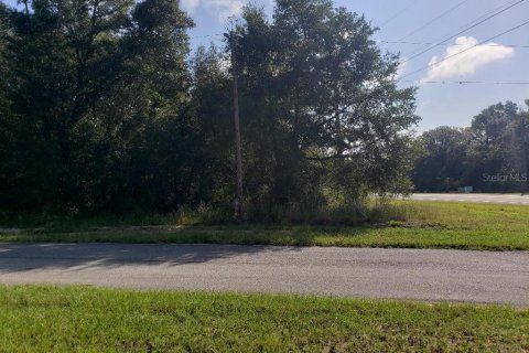 Immobilier commercial à vendre à Hawthorne, Floride № 2108420 - photo 4