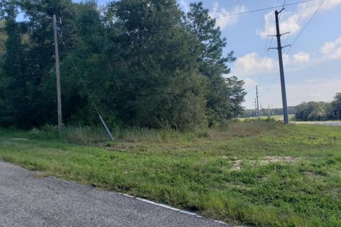 Immobilier commercial à vendre à Hawthorne, Floride № 2108420 - photo 6
