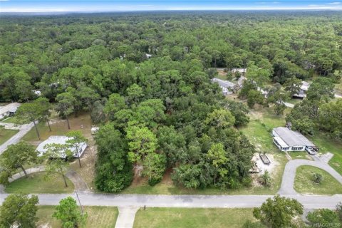 Terrain à vendre à Homosassa, Floride № 1908227 - photo 3