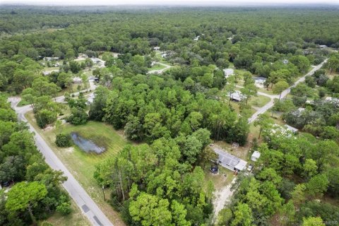 Terrain à vendre à Homosassa, Floride № 1908227 - photo 12