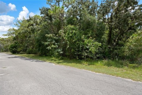 Terrain à vendre à Homosassa, Floride № 1908227 - photo 17