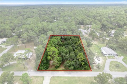 Terrain à vendre à Homosassa, Floride № 1908227 - photo 1