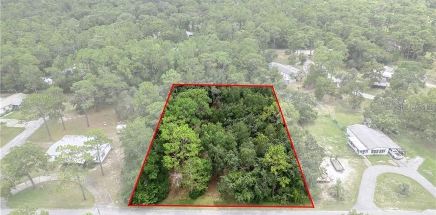 Terrain à Homosassa, Floride № 1908227