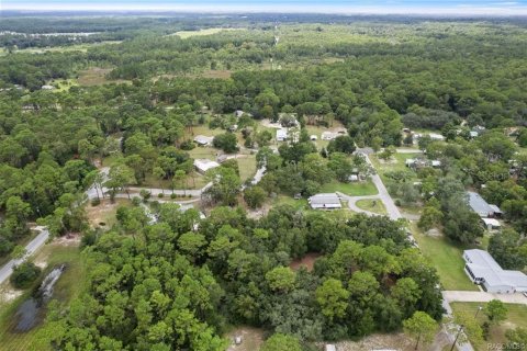 Terrain à vendre à Homosassa, Floride № 1908227 - photo 6