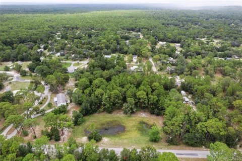 Terrain à vendre à Homosassa, Floride № 1908227 - photo 7