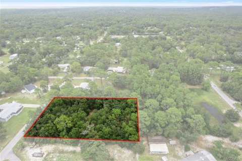 Terrain à vendre à Homosassa, Floride № 1908227 - photo 10