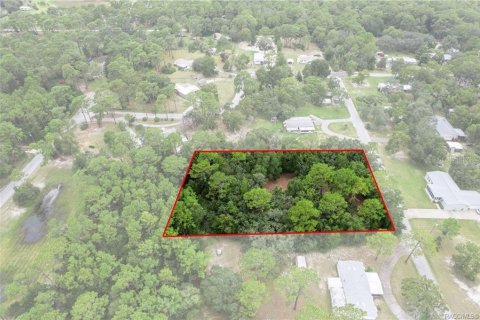 Terrain à vendre à Homosassa, Floride № 1908227 - photo 5