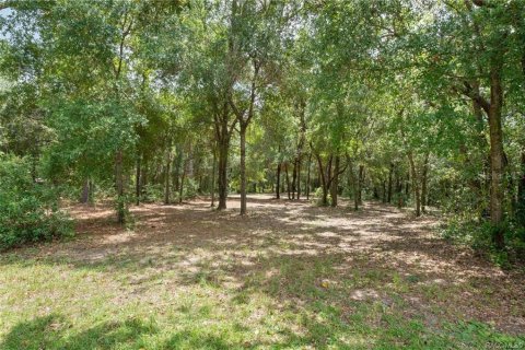 Terrain à vendre à Homosassa, Floride № 1908227 - photo 2
