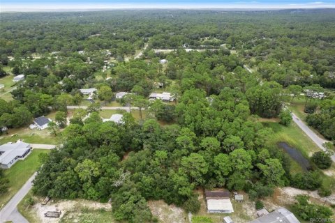 Terrain à vendre à Homosassa, Floride № 1908227 - photo 9