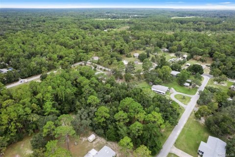 Terrain à vendre à Homosassa, Floride № 1908227 - photo 13