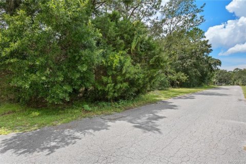 Terrain à vendre à Homosassa, Floride № 1908227 - photo 15