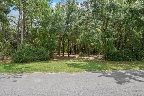 Terrain à vendre à Homosassa, Floride № 1908227 - photo 16